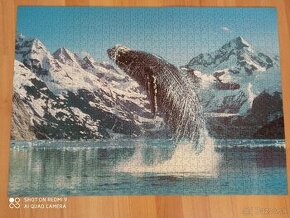 puzzle rozne