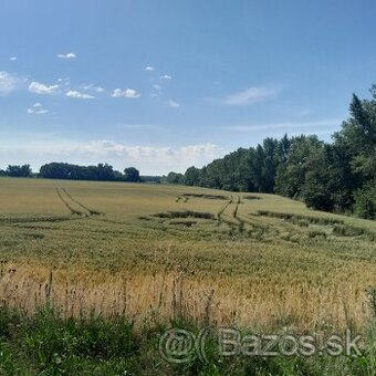 Predaj pozemok 3509m2 na priemysel v obci Oľdza