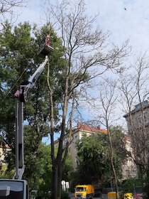 Rizikové orezavanie a pilenie stromov