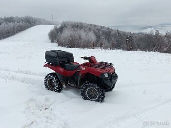 Kawasaki brute force 650