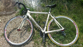 2x Celokarbon -Wilier Triestina Mortirolo (It)ultegra  -Simp - 1