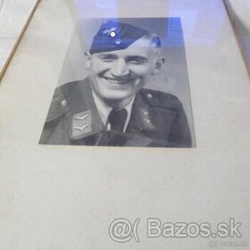 luftwaffe portret, obraz