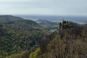 Dubnica nad Váhom, Prejta – 6.061 m2 LES (Urbár) – PREDAJ