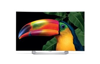 Lg oled 55 palcov