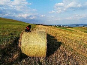 Na predaj pozemok Námestovo, Oravská Jasenica - 1