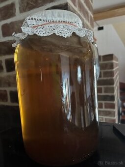 Kombucha