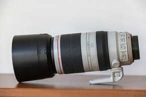 Canon EF 100-400mm f/4.5-5.6L IS II USM