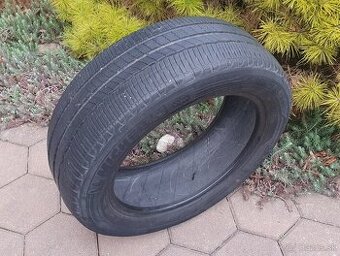 MICHELIN ENERGY EV , LETNA, 195/55 R16, 91Q