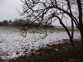 Na predaj zaujímavý stavebný pozemok 3800 m2 v tichej lokali