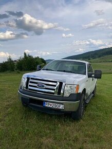 Ford F150 - 1