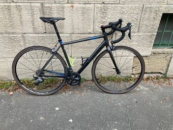 Canyon Endurace AL 7 M