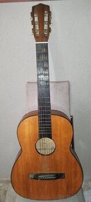 Retro Gitar