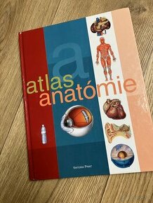 Kolektív autorov: Atlas anatómie