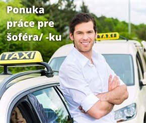 Vodič -ka taxislužby