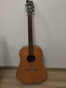 Akustická gitara RT-10 Root TOP STAVE