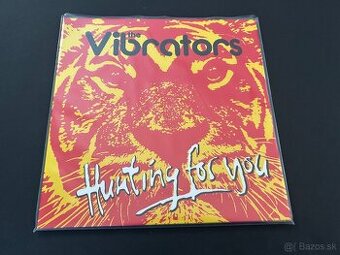 The Vibraors -Hunting for you Lp