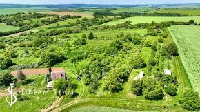 Slnečný, rovinatý, rekreačný pozemok/vinica 1522 m2, Terany