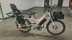 RadWagon 2 Electric cargo bike