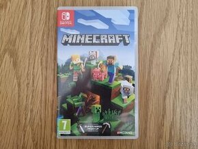 Minecraft Nintendo Switch