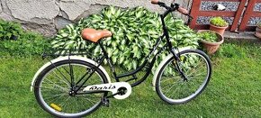 Predam zanovny bike