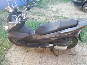 Honda 125 pcx