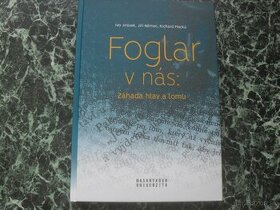 Foglar v nás: Záhada hlav a lomu