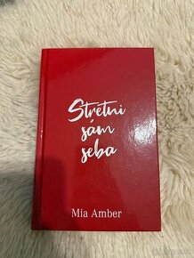 Stretni sám seba - Mia Amber