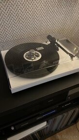 PRO-JECT Debut Carbon EVO - 1