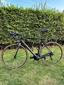 Canyon Endurace CF