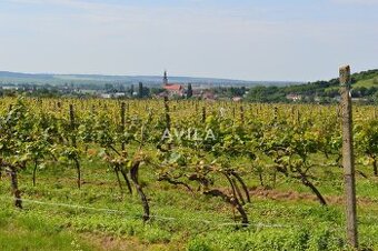 NA PREDAJ: vinohrad o výmere 4740m2 - Horné Orešany