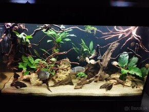 Predam akvarium set aquael glossy 240l - 1