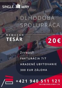 TESÁR / NEMECKO / 20€/h.