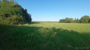 Na predaj zaujímavý stavebný pozemok 3800 m2, Medvecké, Levi