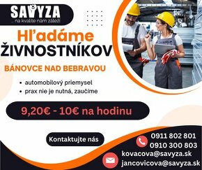 9,20€ - 10€  Automobilový priemysel