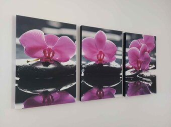 Obraz na platne orchidea 120x60cm