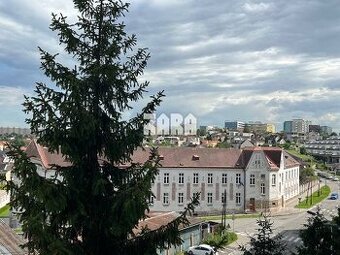 JUH - ul. Žižkova, 3 izbový byt, 71 m², loggia. Pražský typ - 1