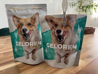 Geloren Dog S-M