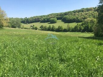 Pekný pozemok (3,2ha) na Hrušove okres Veľký Krtíš. - 1