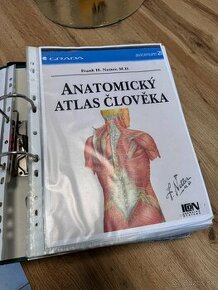 Anatomický atlas človeka