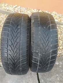 195/65 r15 zimné pneumatiky