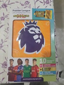 Panini premier league 2024