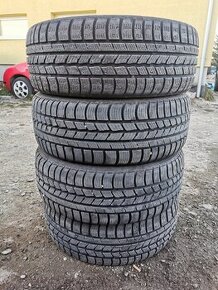 Nexen Winguard 225/55 R17