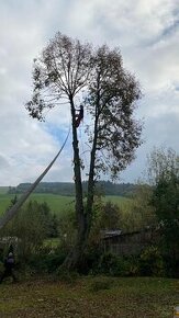 Výruby rizikových stromov stiepkovanie arboristika