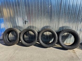 Tracmax ice-plus s220 255/50 R19