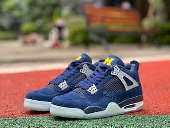 Air Jordan 4 Michigan PE