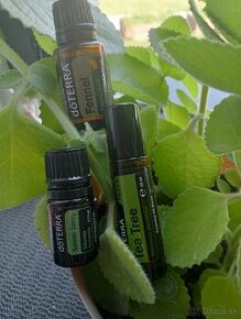 Doterra oleje