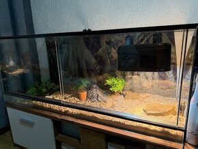 Terarium pre agamu 120cm