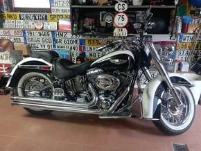 Harley Davidson Softail