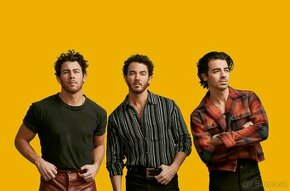 Jonas Brothers: FIVE ALBUMS. ONE NIGHT