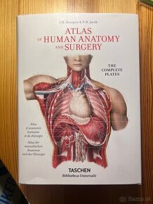 Atlas of human anatomy